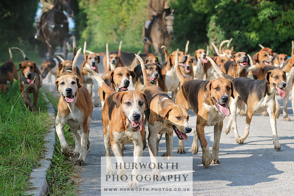 Hurworth Hunt 304