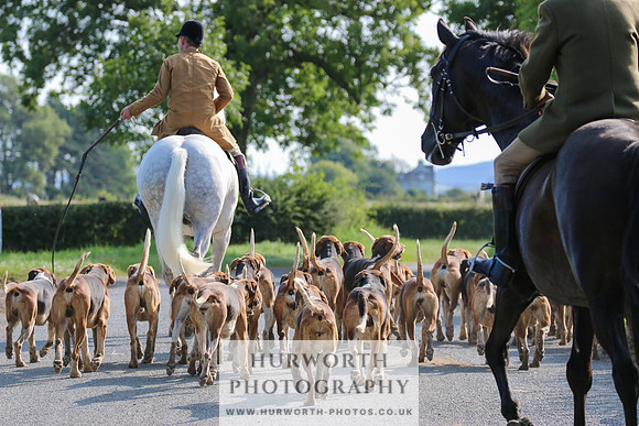 Hurworth Hunt 307