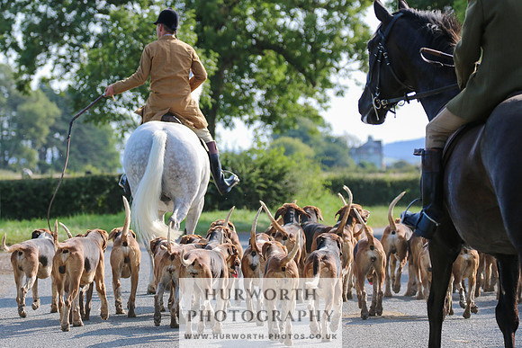 Hurworth Hunt 308