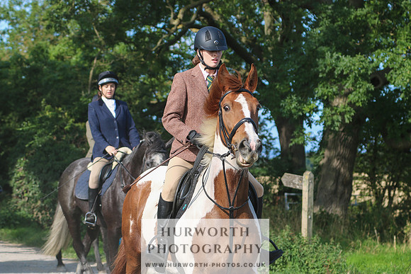 Hurworth Hunt 331