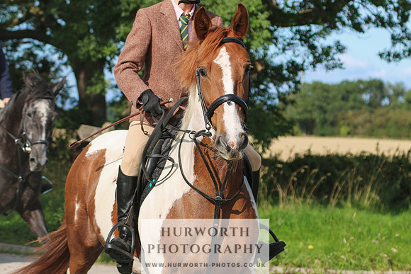 Hurworth Hunt 332