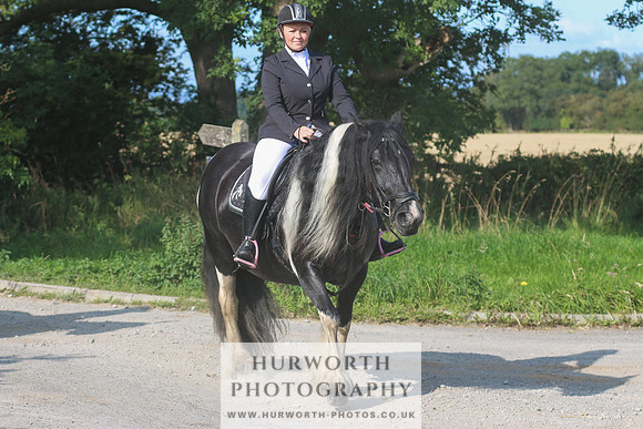 Hurworth Hunt 336