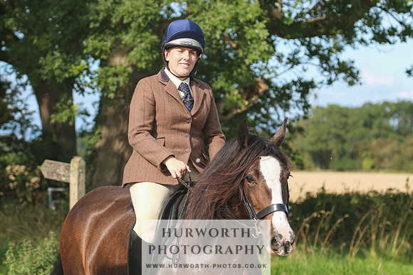 Hurworth Hunt 341
