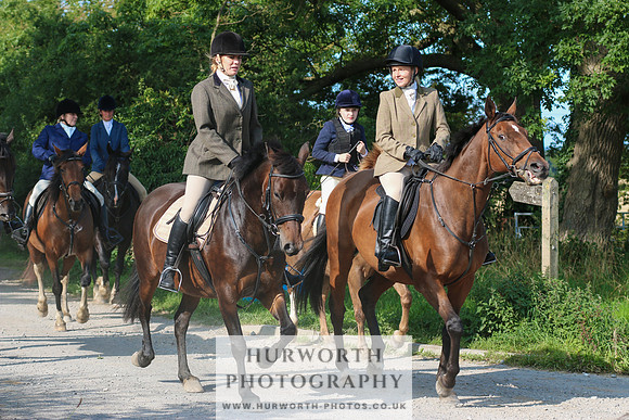 Hurworth Hunt 347