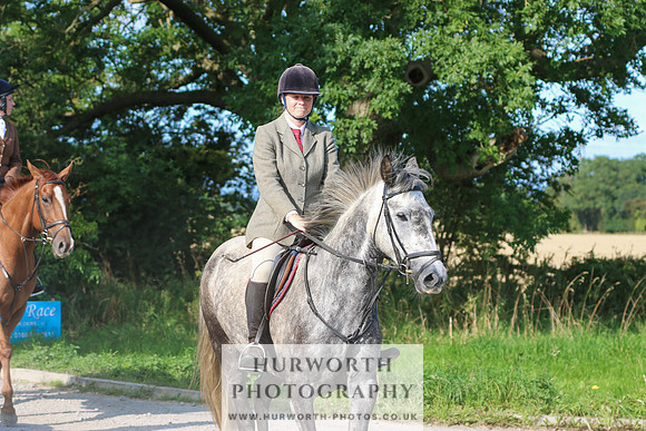 Hurworth Hunt 367