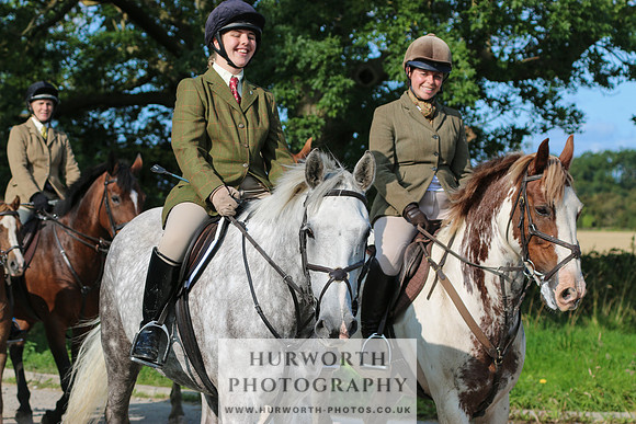 Hurworth Hunt 376
