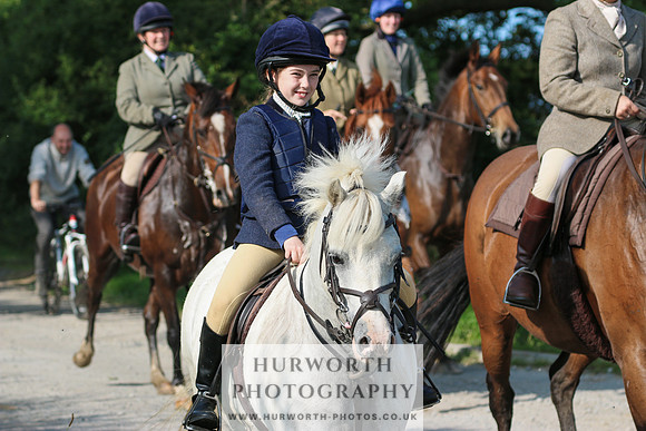 Hurworth Hunt 379