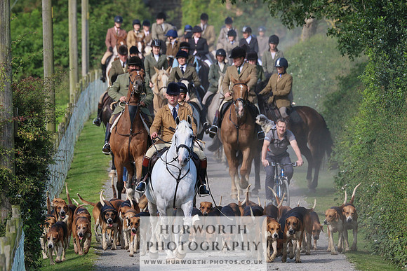 Hurworth Hunt 385