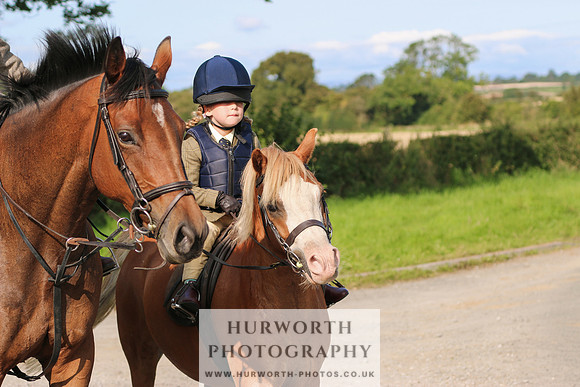Hurworth Hunt 381