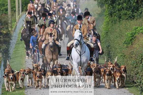 Hurworth Hunt 386