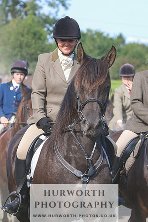 Hurworth Hunt 430