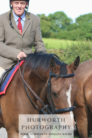 Hurworth Hunt 450