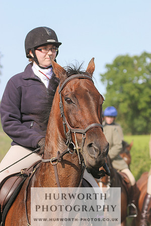 Hurworth Hunt 462