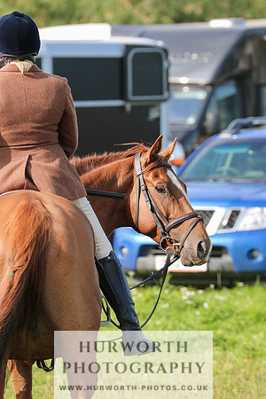 Hurworth Hunt 466