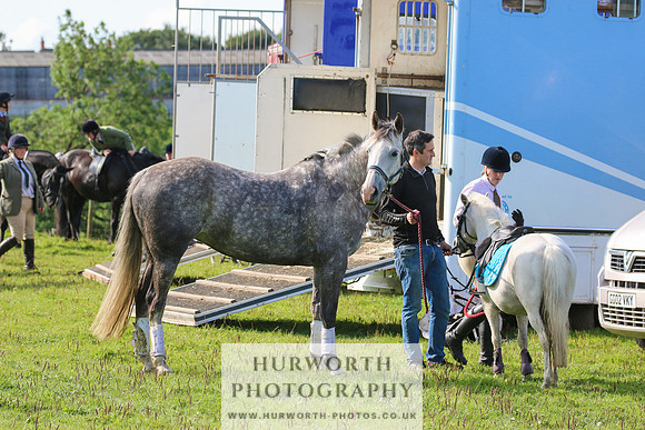 Hurworth Hunt 467