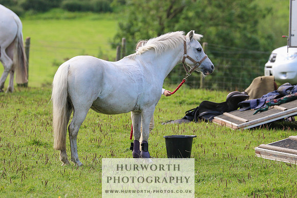 Hurworth Hunt 470