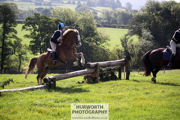 Hurworth Bilsdale Hedge Hop 291