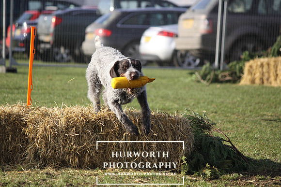 Shooting Show Day 2  014