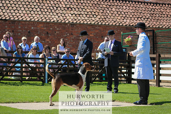 Hurworth Hunt 013