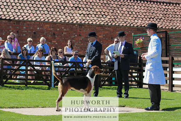 Hurworth Hunt 014