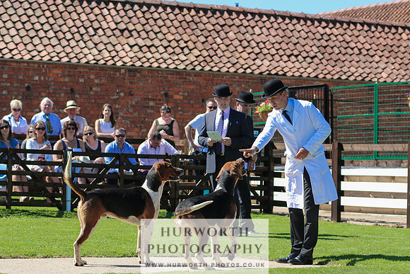 Hurworth Hunt 015