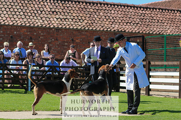Hurworth Hunt 016