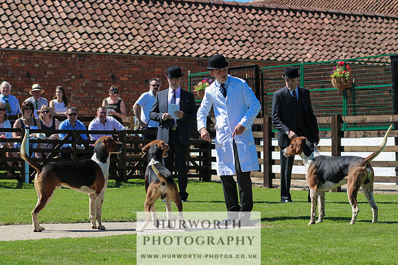 Hurworth Hunt 018
