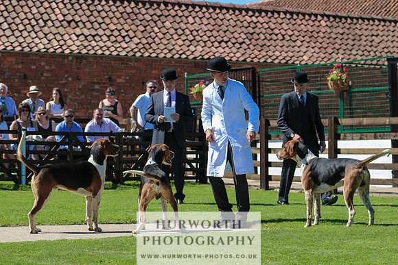 Hurworth Hunt 019