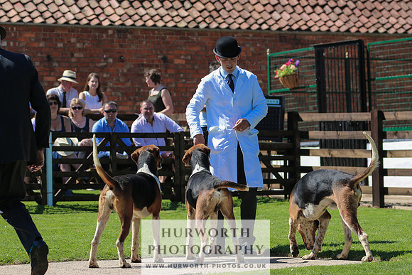Hurworth Hunt 020