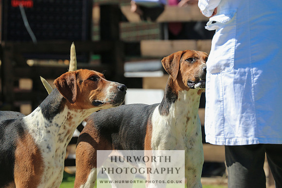 Hurworth Hunt 021
