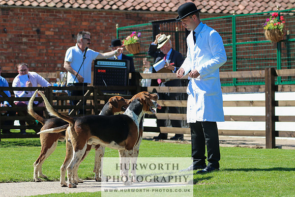 Hurworth Hunt 023
