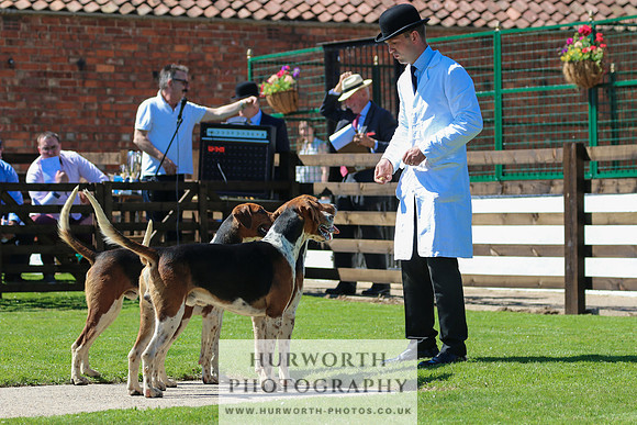 Hurworth Hunt 024