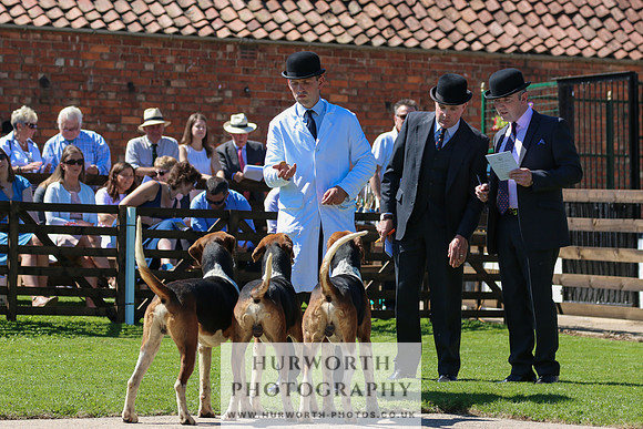 Hurworth Hunt 025