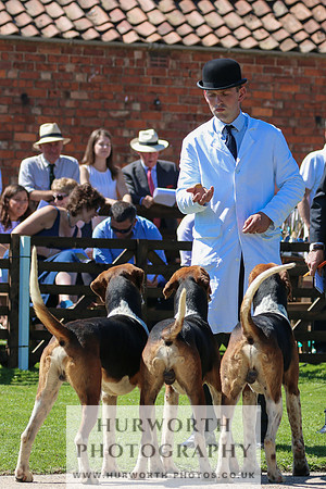 Hurworth Hunt 026