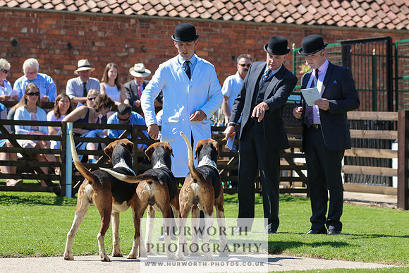 Hurworth Hunt 027