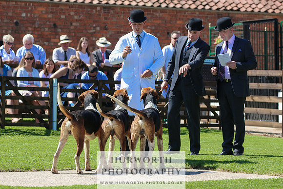 Hurworth Hunt 028