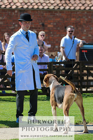 Hurworth Hunt 033