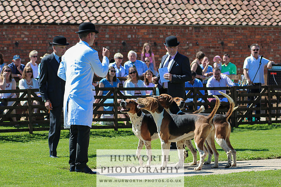 Hurworth Hunt 035
