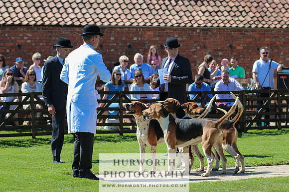 Hurworth Hunt 036