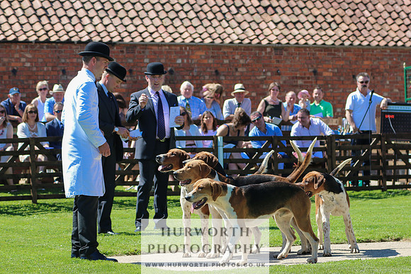 Hurworth Hunt 037