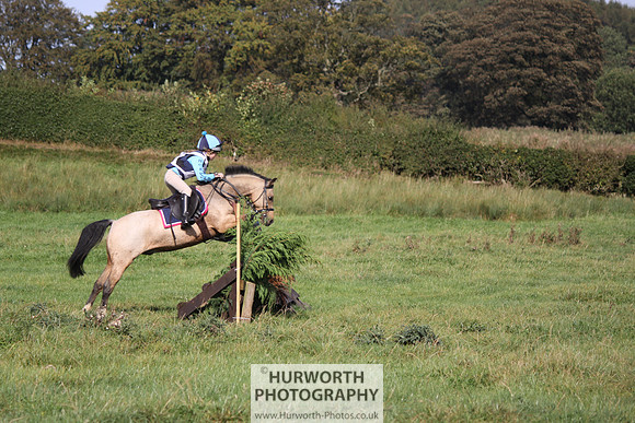 Hurworth Bilsdale Hedge Hop 329
