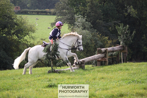 Hurworth Bilsdale Hedge Hop 048