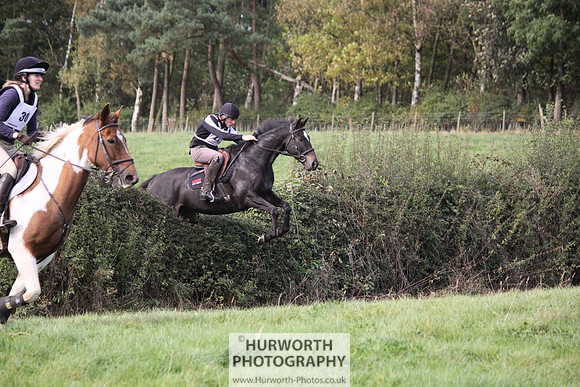 Hurworth Bilsdale Hedge Hop 637