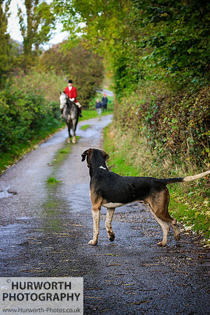 Hurworth Hunt 394