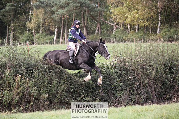 Hurworth Bilsdale Hedge Hop 633