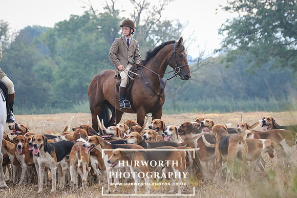 Hurworth Hunt 335