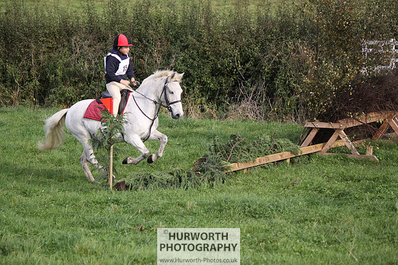Hurworth Bilsdale Hedge Hop 030