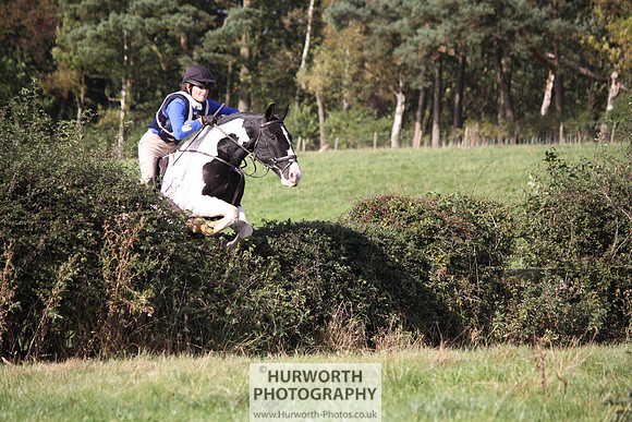 Hurworth Bilsdale Hedge Hop 310