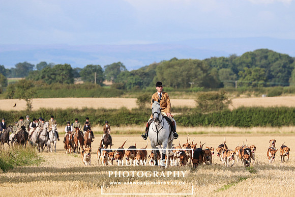Hurworth Hunt 230