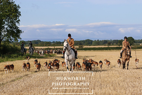Hurworth Hunt 236
